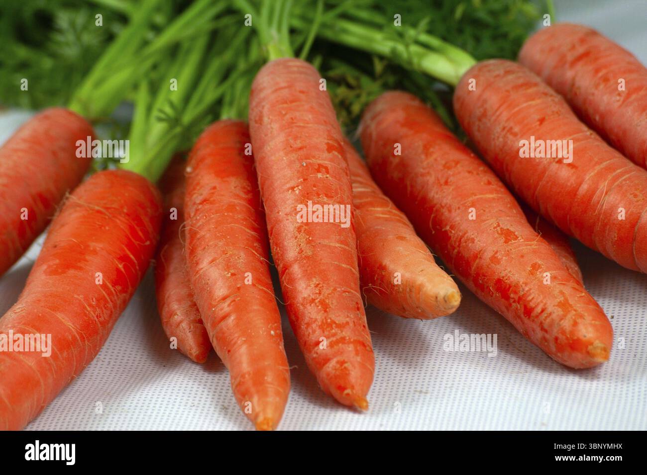 Karotten frisches Gemuese, roh und ungeschnitten Stock Photo