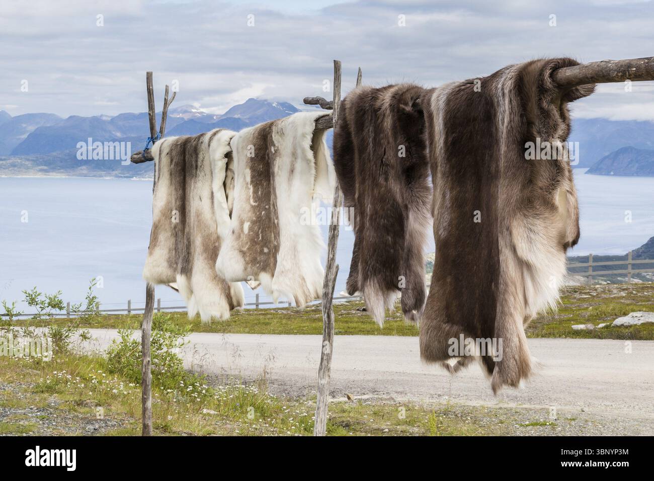 Reindeer fur and antlers at a souvenir shop in Lapland, Noorwegen Stock Photo