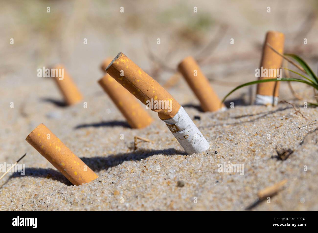 tobacco uk price Pack of cigarettes soars to £16.78 as Rachel Reeves reveals tobacco hike
