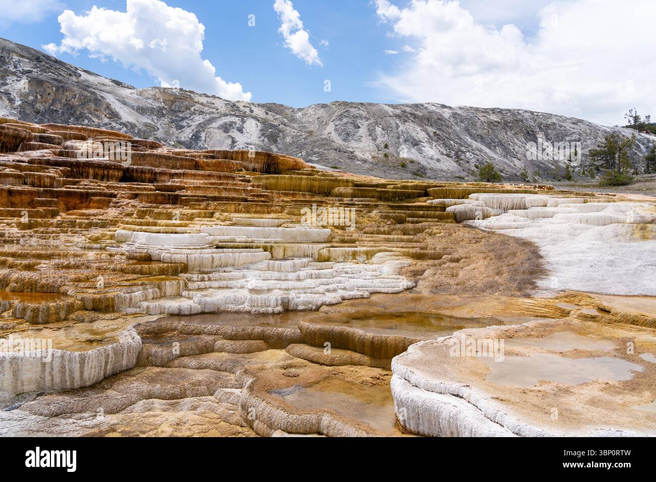 Colorful terraces of Mammoth Hot Spring in Yellowstone national park, Wyoming, USA. Stock Photo