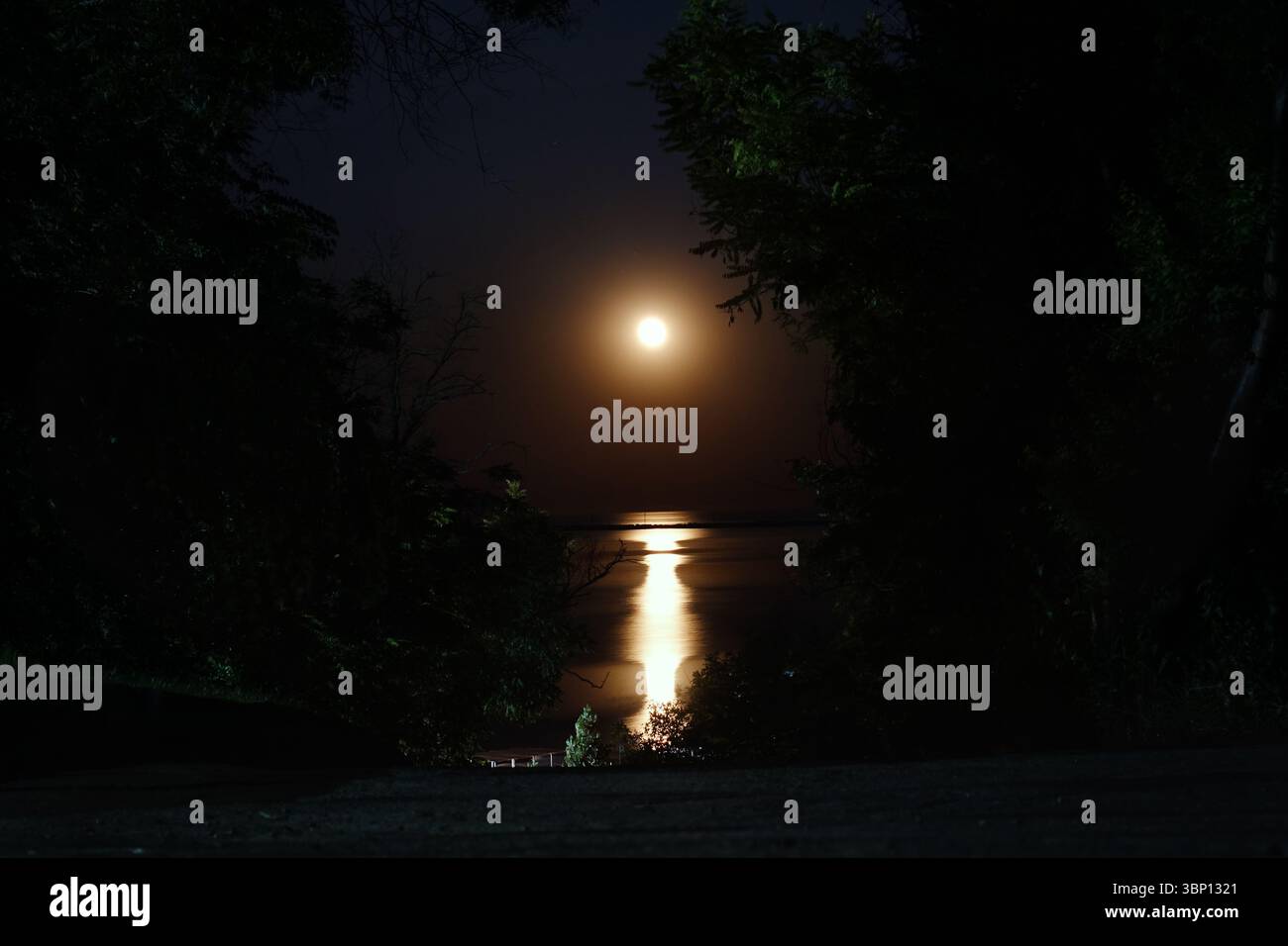 Full red moon over the sea. Stock Photo