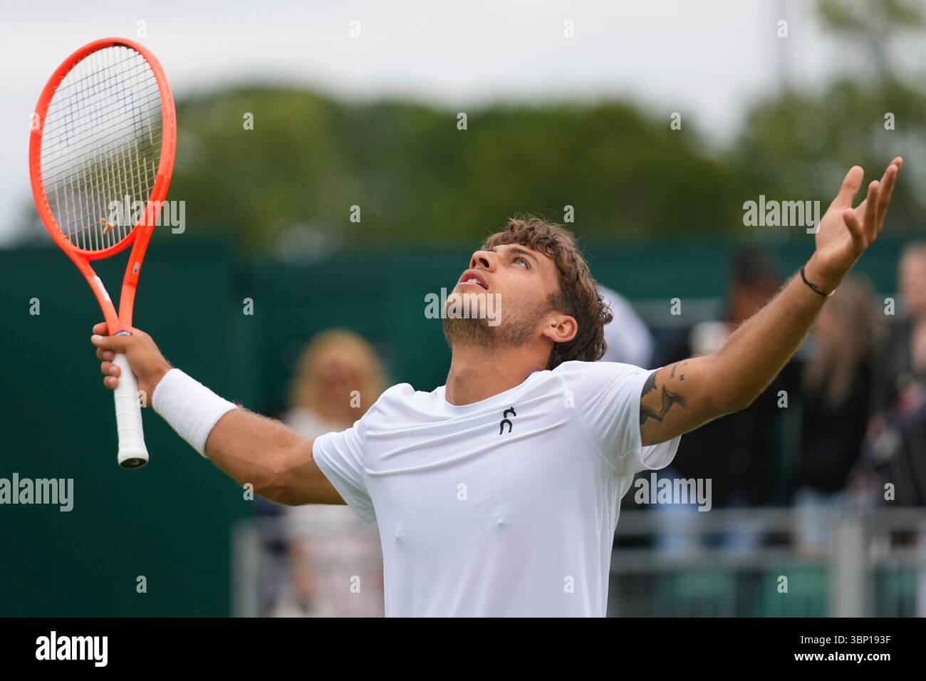 Flavio Cobolli tennis What Happens Next for the ATP Tour