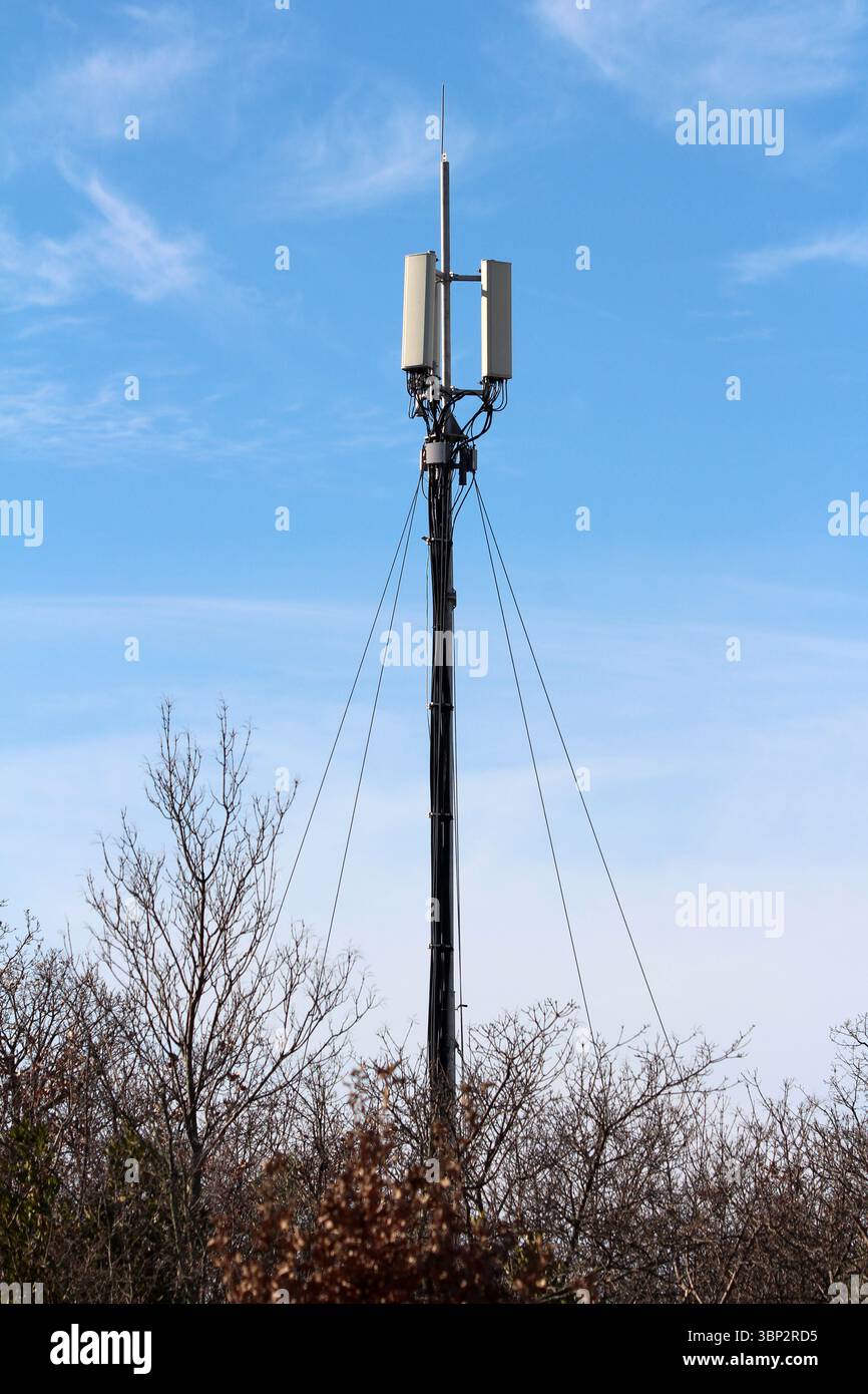 A tall cellular communication tower equipped with multiple antennas and support cables rises above leafless trees, set against a clear blue sky Stock Photo