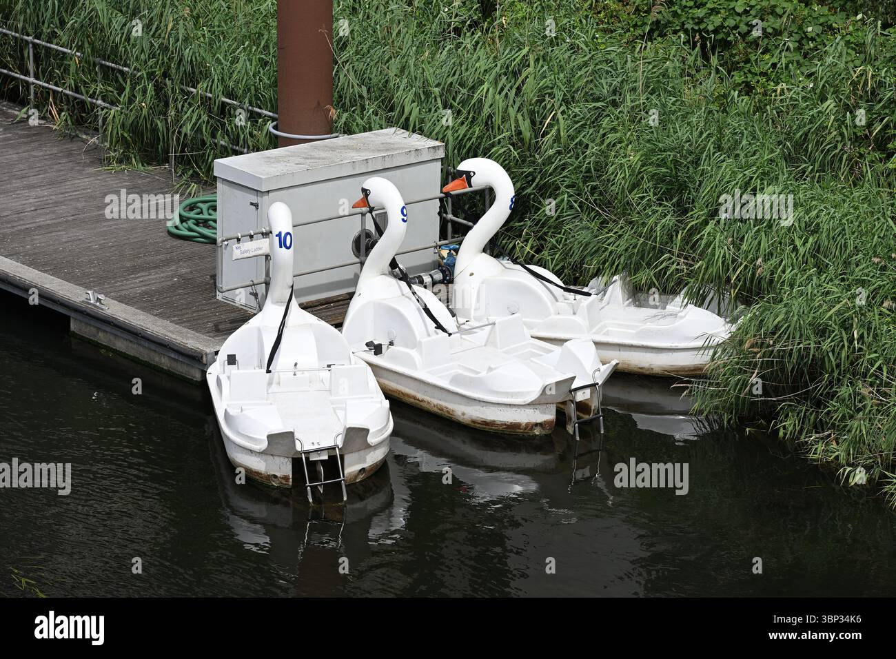 Swan paddle boats in the Queen Elizabeth Olympic Park - London UK Stock Photo