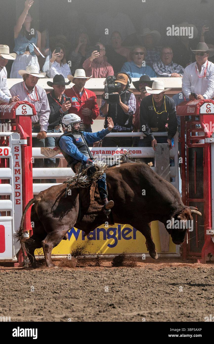 Cowboys compete in Bull Riding during the Calgary Stampede on Saturday ...