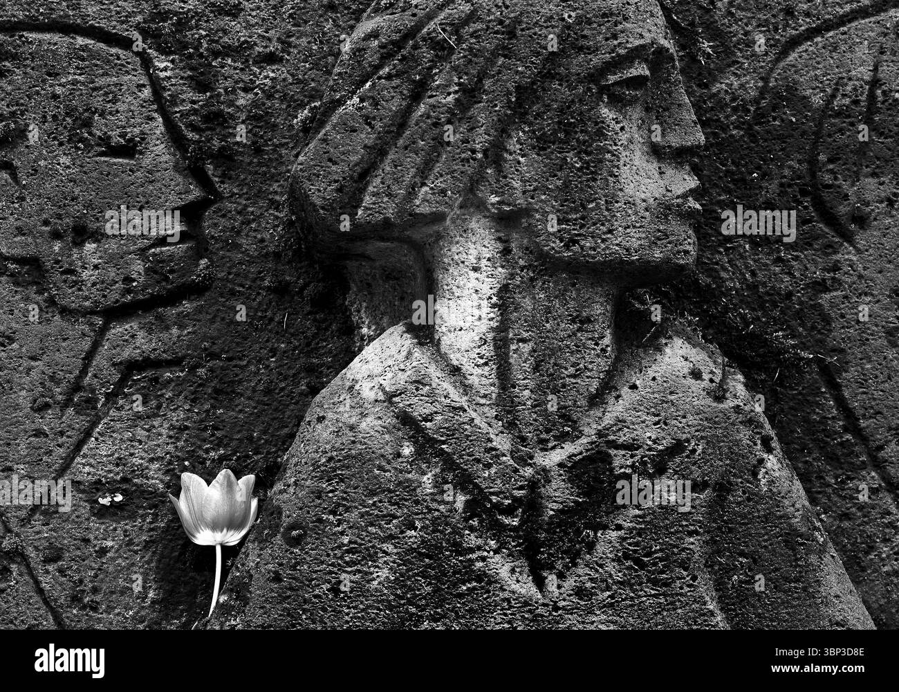 Bittermark memorial, memorial site, detail with tulip for the memorial ...