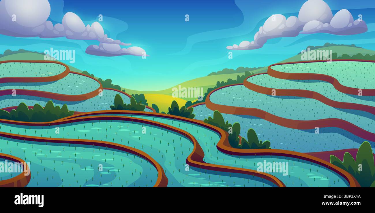 Paddy Field Cartoon Background