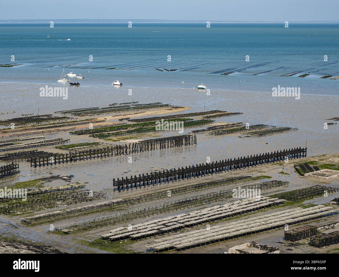 Structure Shellfish Marine structures hi-res stock photography and images - Alamy