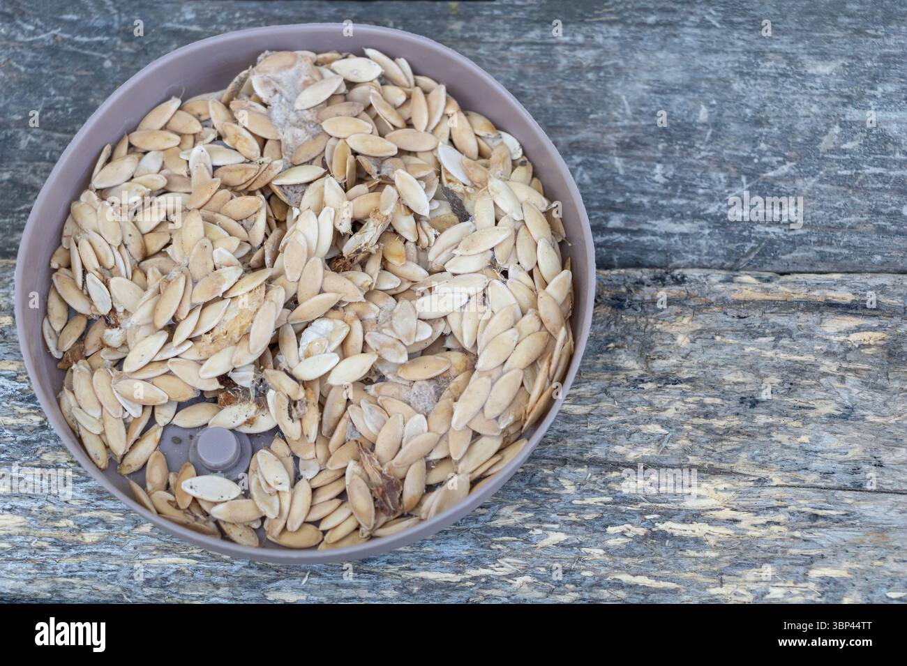 Bowl filled with melon seeds placed on rustic wooden surface, ready for drying or planting Stock Photo