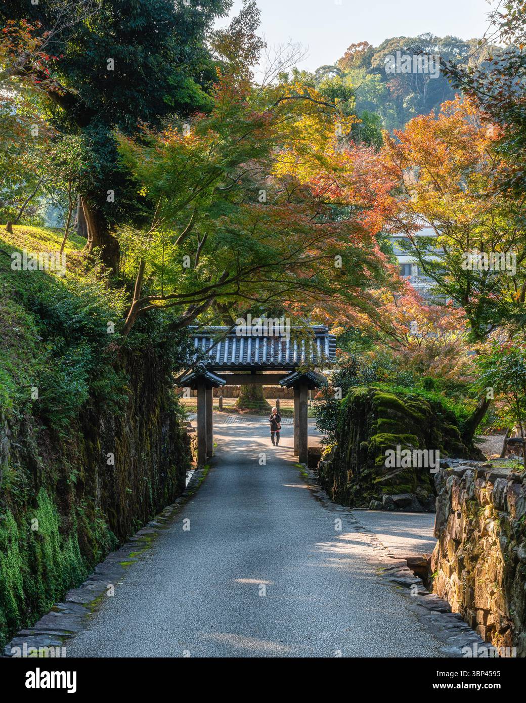 The marvelous Kosho-ji Temple in Uji during fall season. Kyoto, Japan ...