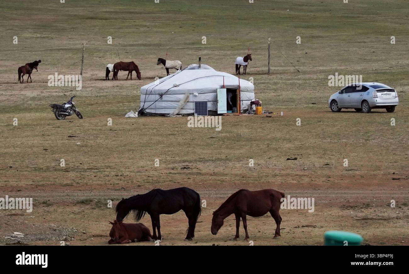 A photo shows a Mongolian yurt (ger), dwelling for horse breeders ...