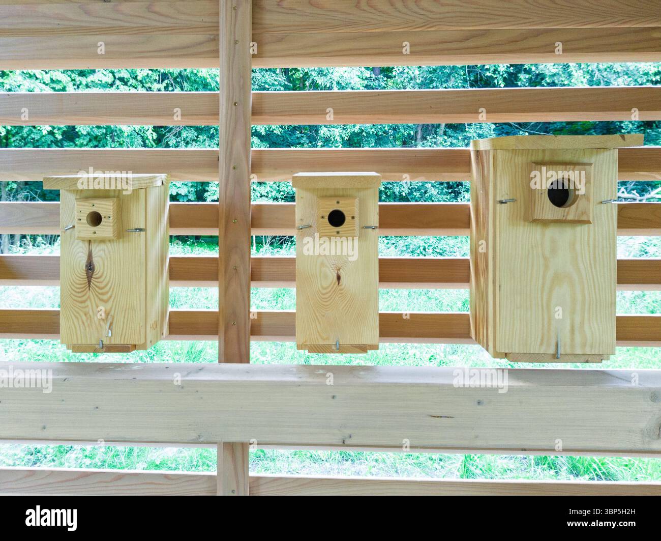 View of Wooden birdhouses mounted on wooden wall Stock Photo - Alamy