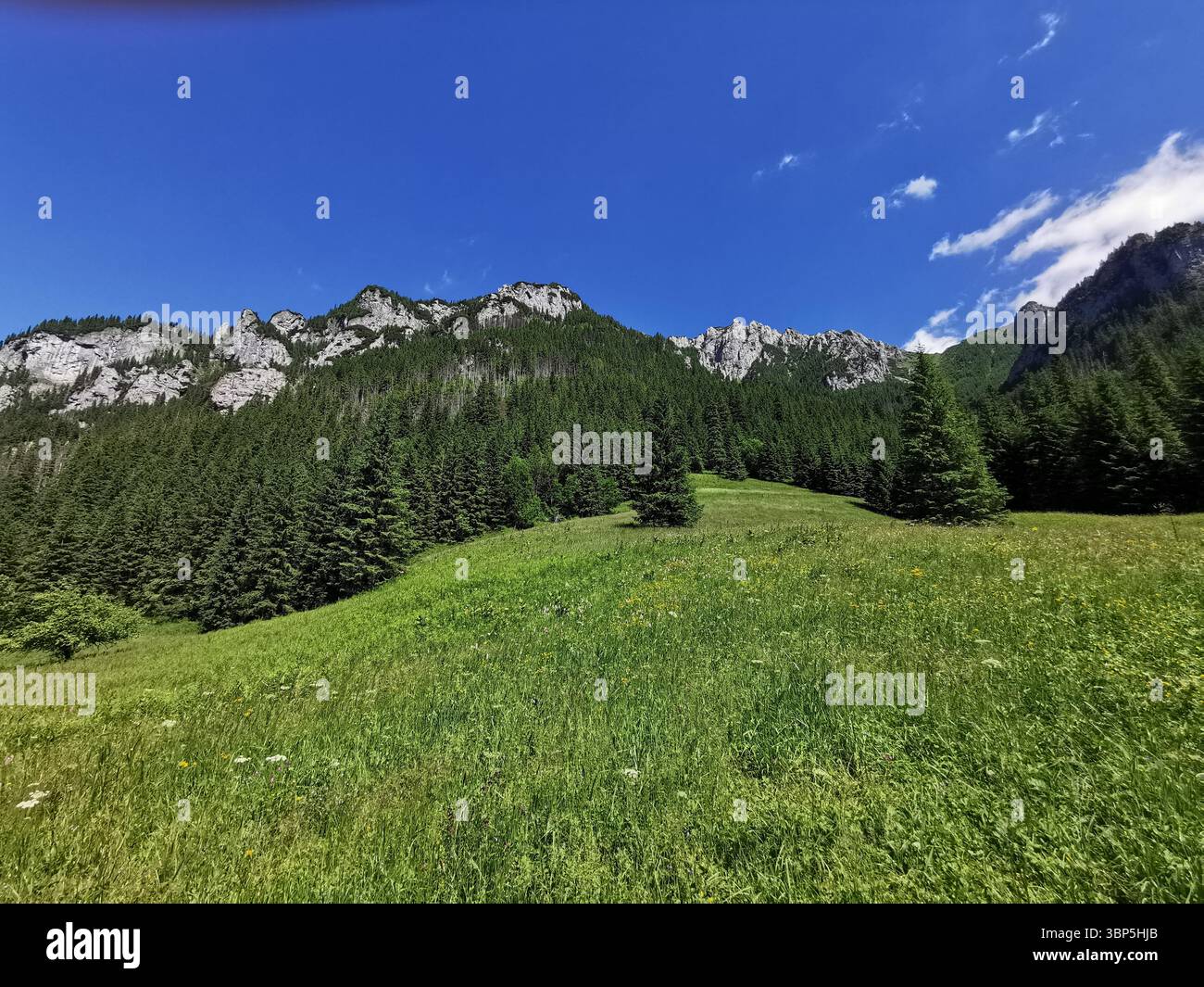 The beautiful Kościeliska Dolina or valley in the Tatra Mountains near  Zakopane in Poland. Stunning karst limestone scenery and crystal clear rivers. - Smartphone Captured Stock Image