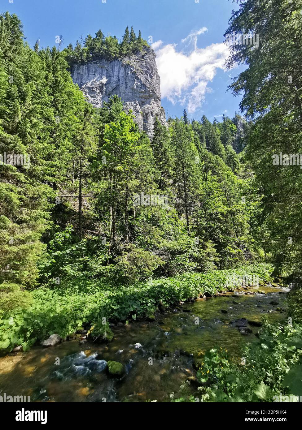 The beautiful Kościeliska Dolina or valley in the Tatra Mountains near  Zakopane in Poland. Stunning karst limestone scenery and crystal clear rivers. - Smartphone Captured Stock Image