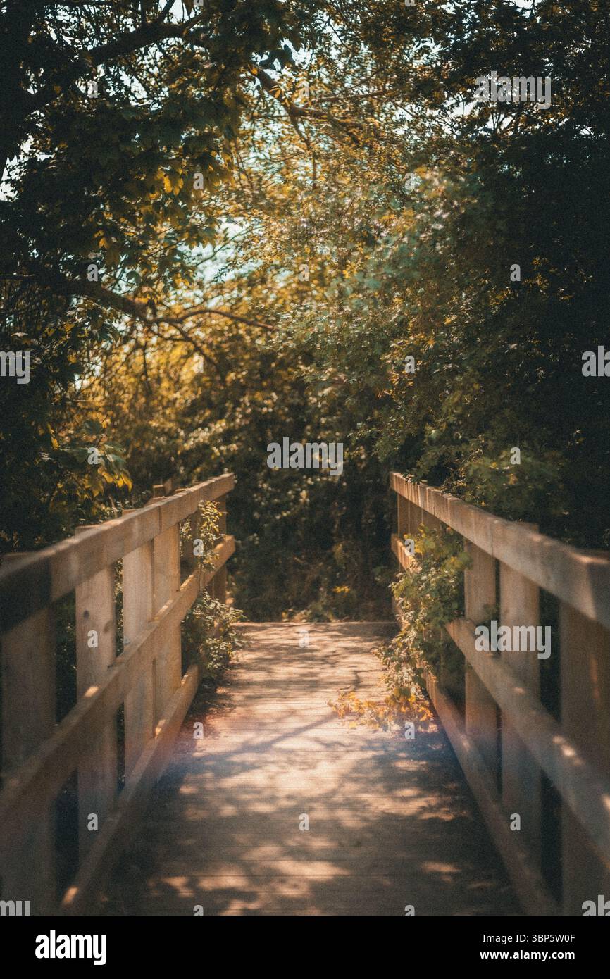 Rustic wooden bridge railing hi-res stock photography and images - Alamy