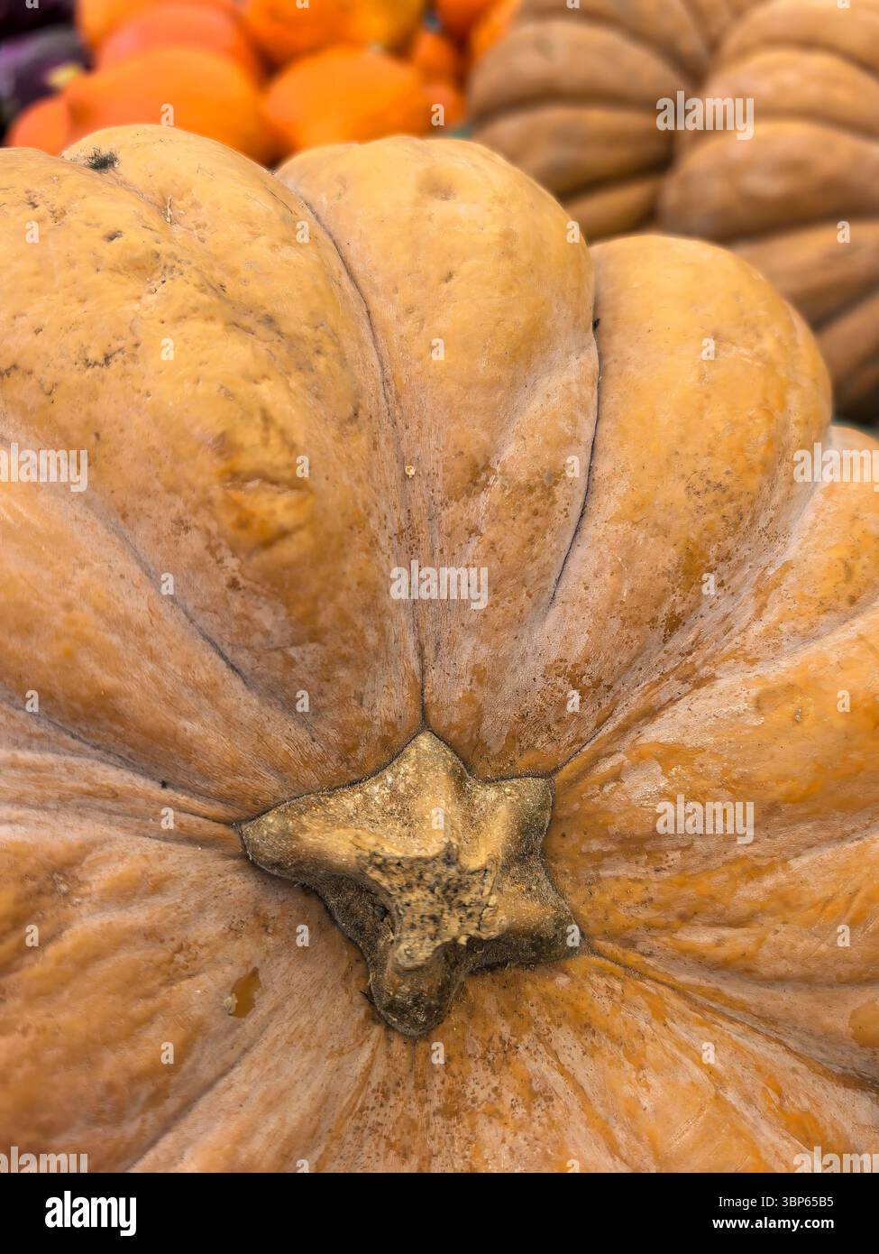 Deep Ridges Pumpkin Showcasing natural ridges hi-res stock photography and images - Alamy