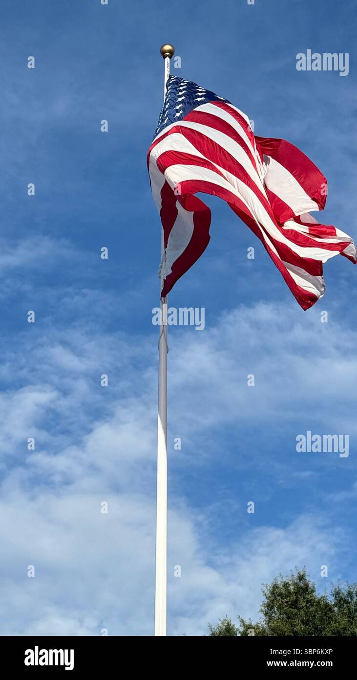 July 10th 2025 Tammy Bruce State Dept Spokesperson gives firm press briefing about Iran as no go zone.She also spoke to Russia and Ukraine - Smartphone Captured Stock Image