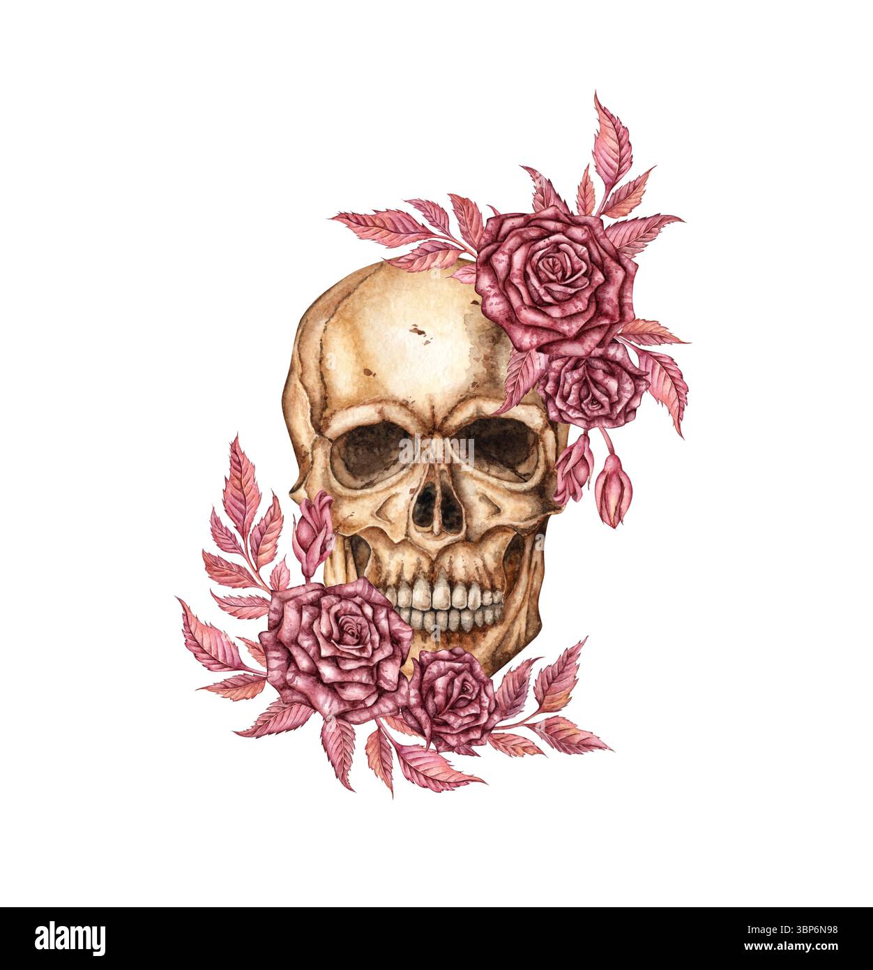 Human skull realistic front with dark red roses and buds watercolor illustration. Bones in gothic style. Day of the dead, Halloween, Dia de los muerto Stock Photo
