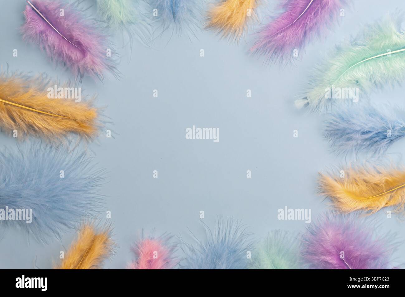 Frame boarder made of feathers on blue background. Backdrop for designers Stock Photo