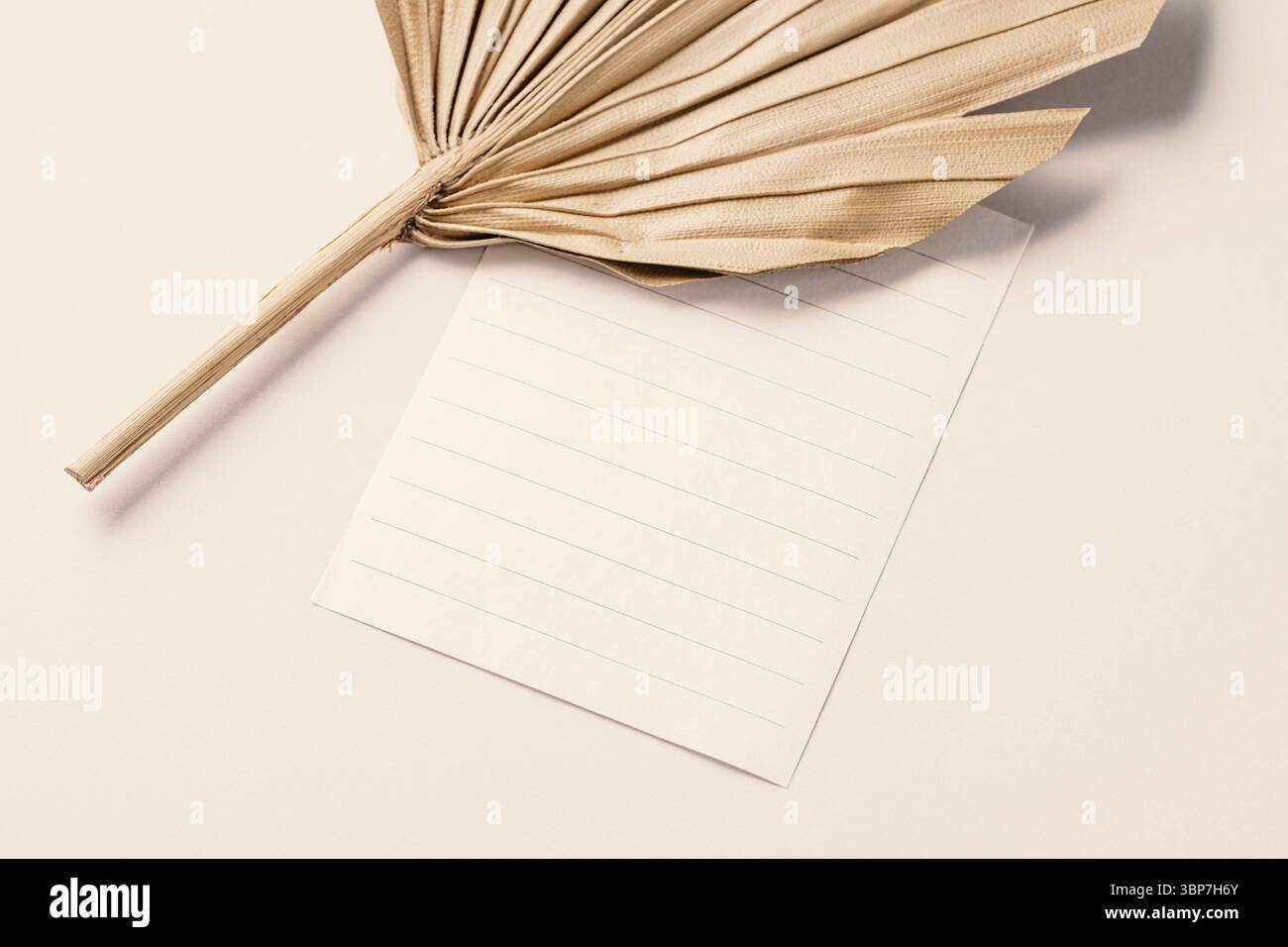 Paper card mock-up in neutral colors. Empty paper and Dried palm leaves. Flat lay composition, space for text Stock Photo