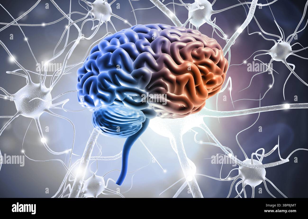 Human brain with nerve cells. 3d illustration Stock Photo - Alamy