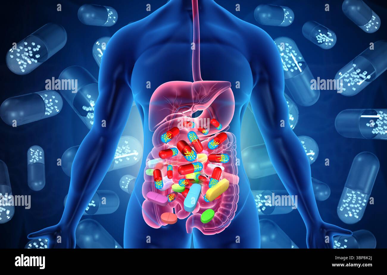 Medicines affect human digestive system. human body and digitive system ...