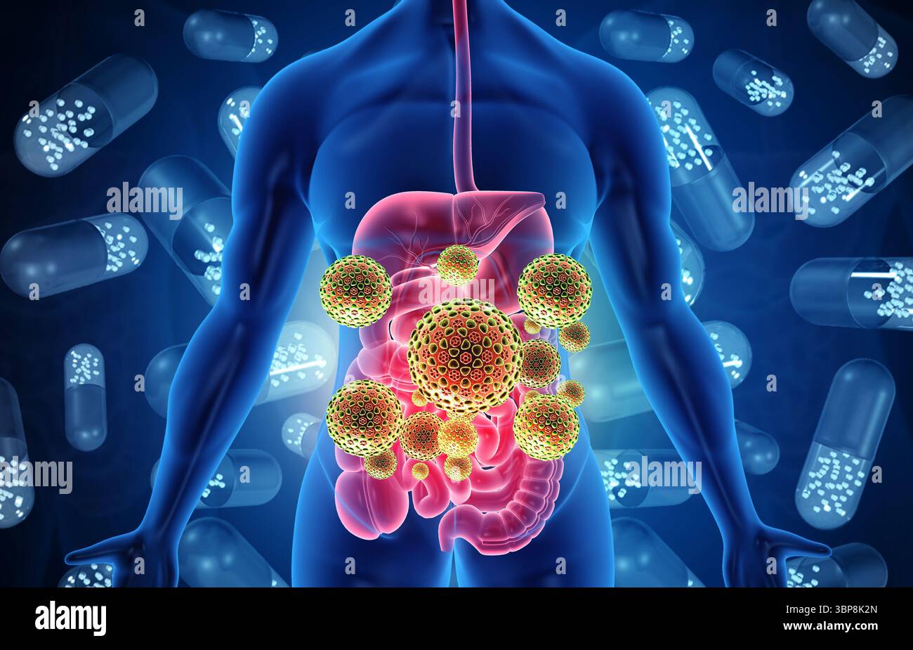 Human digestive system infected by virus and bacteria. Human body and ...