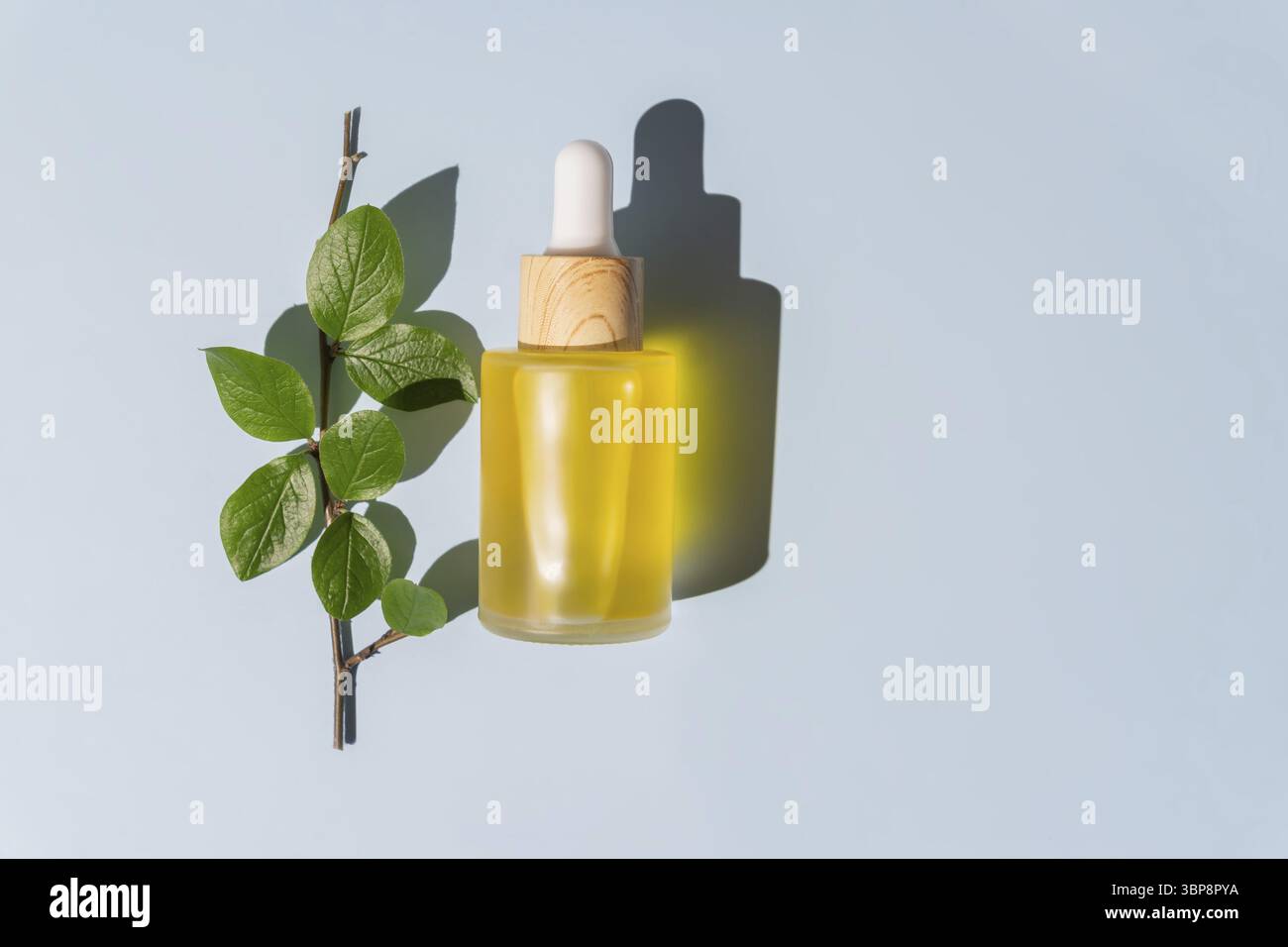 Kollagen und Peptide Gesichtsoel Konzept. copyspace fuer Text. Schoenheit und Spa-Behandlung. Layout fuer Branding, Etiketten und Verpackungen Stock Photo
