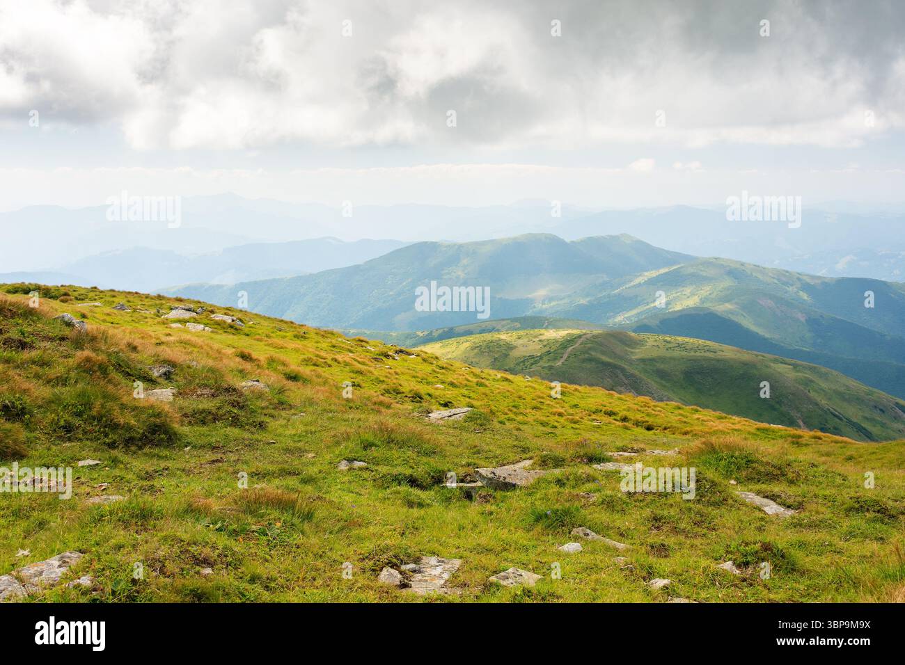 nature landscape with alpine grassy meadow of mnt. petros in dappled light. carpathian mountain scenery of ukraine in summer. popular travel destinati Stock Photo