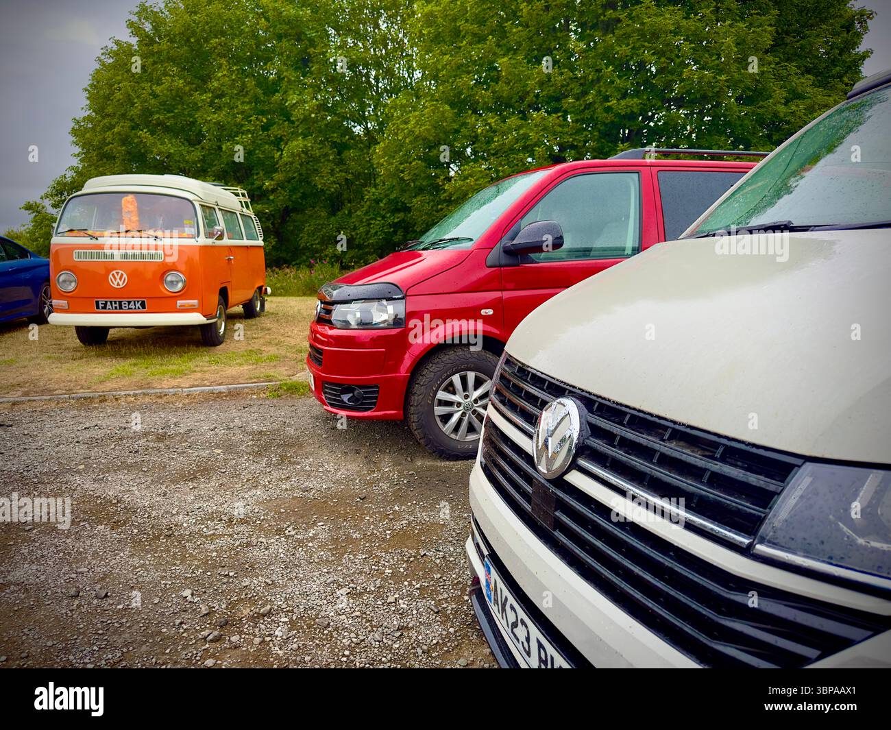 Group of Volkswagen transporter camper vans of different eras  parked outdoors on a gravel area beside lush green trees under a cloudy sky - Smartphone Captured Stock Image