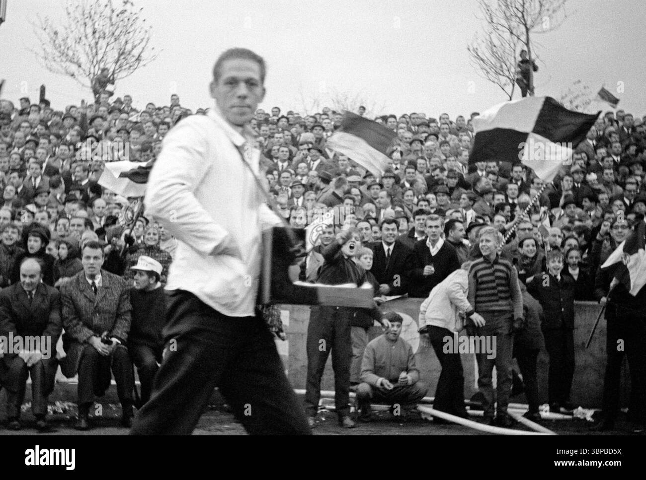 Sixties, sports, football, Bundesliga, 1966/1967, Rot-Weiss Essen vs. SG Eintracht Frankfurt 1-1, 29.10.1966, Stadium at the Hafenstrasse in Essen, RWE football fans wave the club flags and have fun Stock Photo