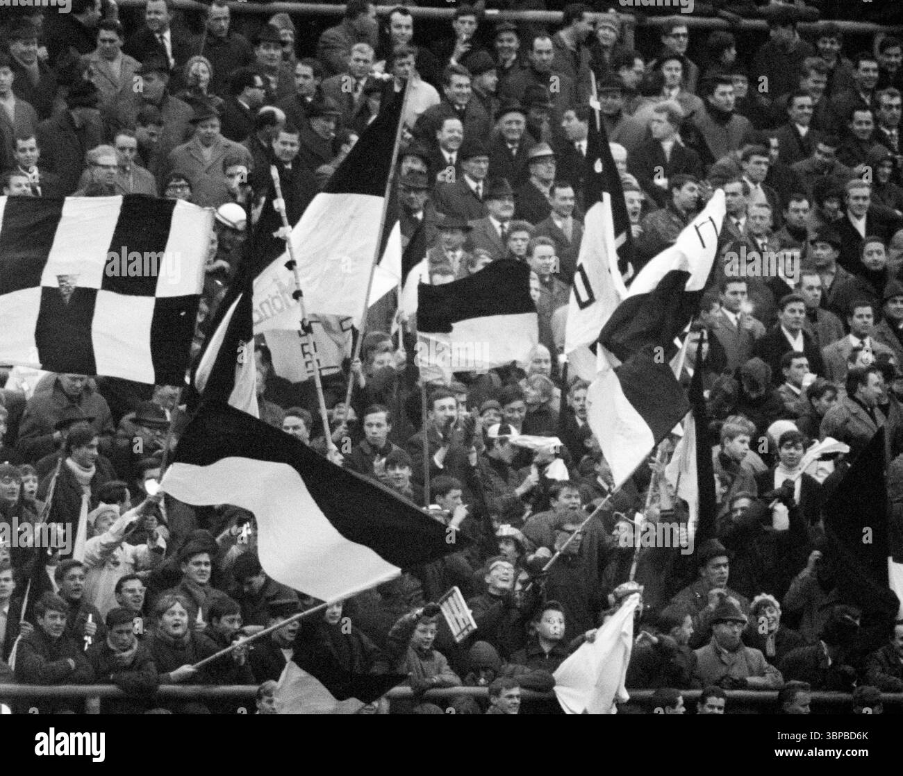Sixties, sports, football, Bundesliga, 1966/1967, Borussia Moenchengladbach vs. MSV Duisburg 3-3, 17.12.1966, Boekelberg Stadium in Moenchengladbach, Fans and visitors of Gladbach have fun and wave the club flags Stock Photo