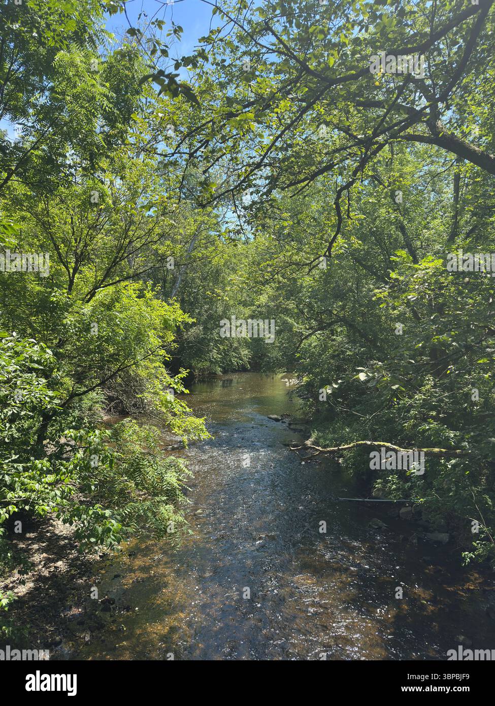 Wissahickon Creek in Ambler Pennsylvania Stock Photo