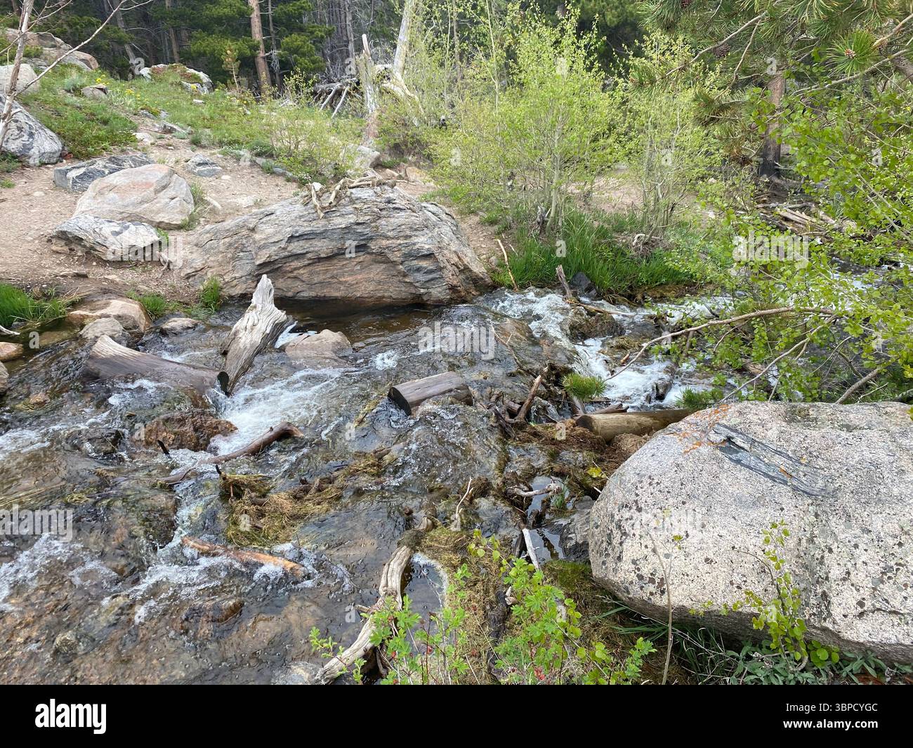 A babbling stream flows down a hill in Rocky Mountain National Park - Smartphone Captured Stock Image