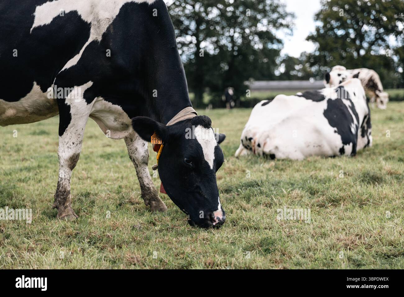 Picture of passman/js/vendor/zxcvbn/zxcvbn.js.map at master - GitHub