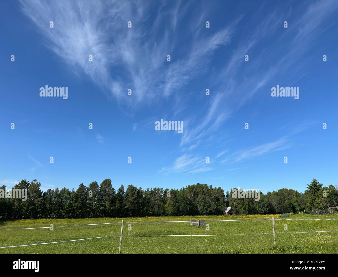 The bright blue sky is filled with delicate, white clouds above a green landscape. - Smartphone Captured Stock Image