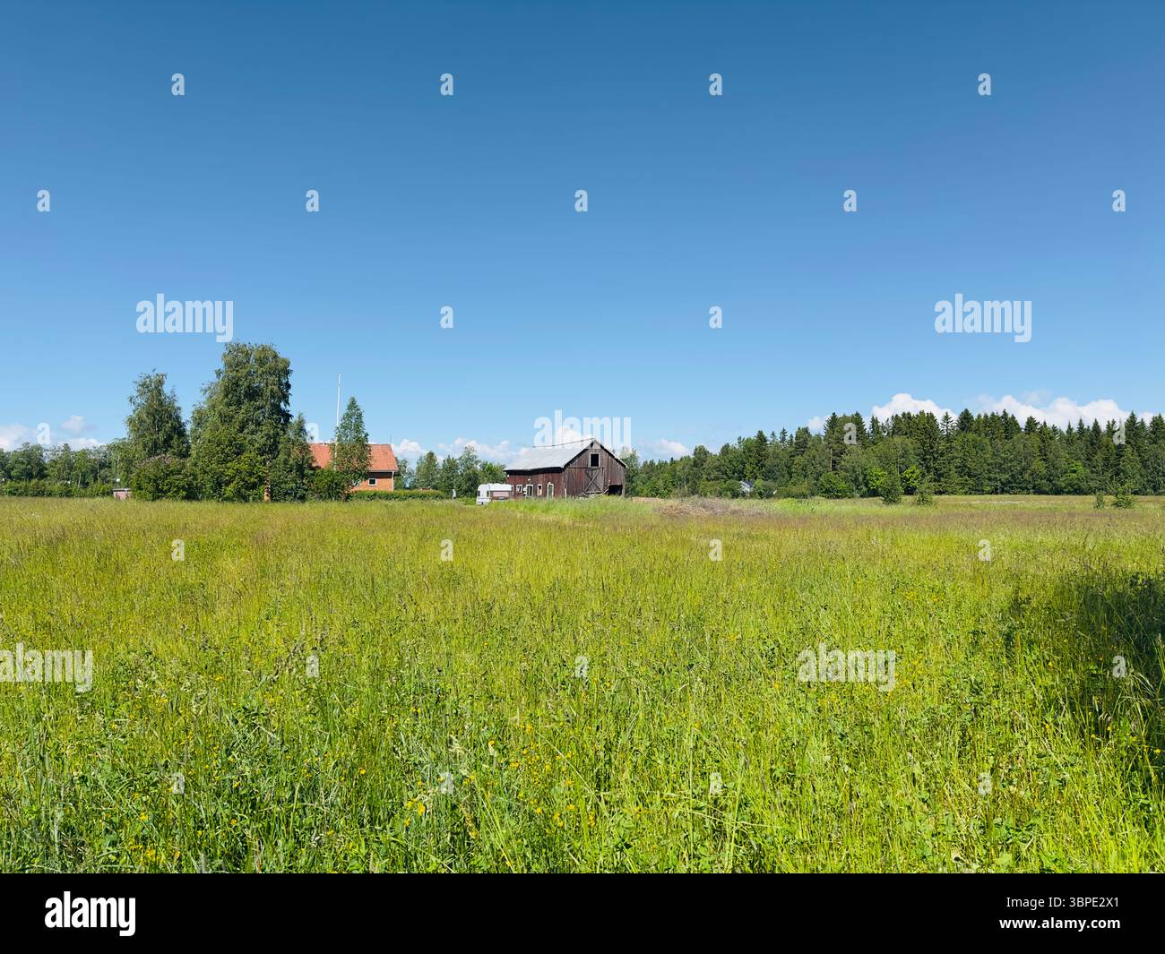 A beautiful summer landscape with a green field, a rustic barn, and clear blue sky. - Smartphone Captured Stock Image