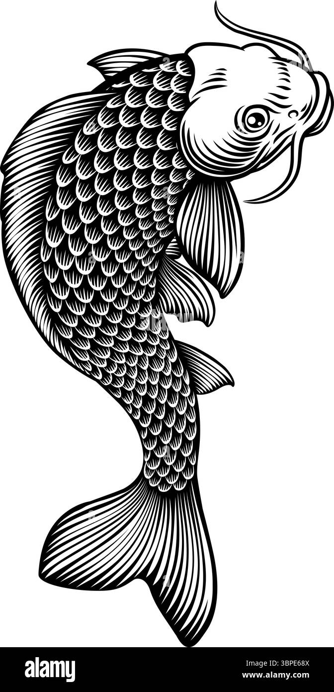 Fish Koi Carp Japanese Vintage Woodcut Design Stock Vector Image & Art ...