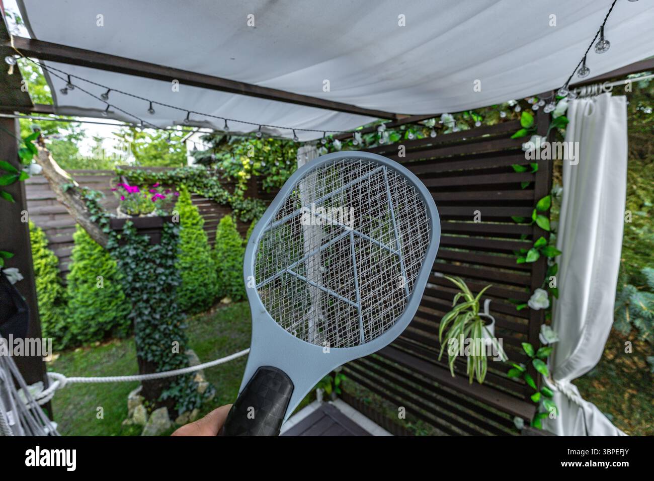 Electric fly and insect swatter, killing flies under the garden pergola ...