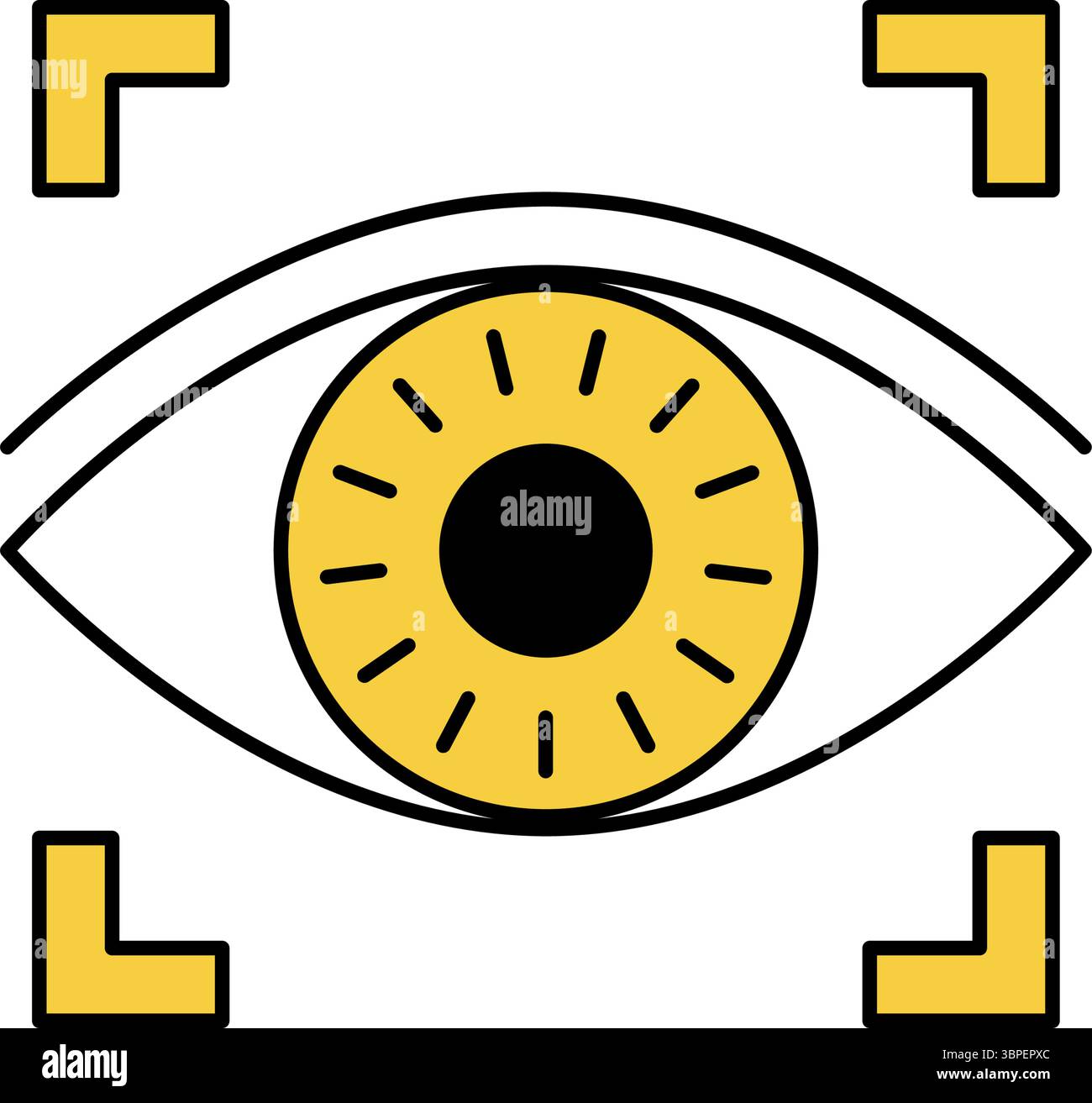 Iris authentication, Crime Prevention and Home Security Icons, Vector Illustration Stock Vector