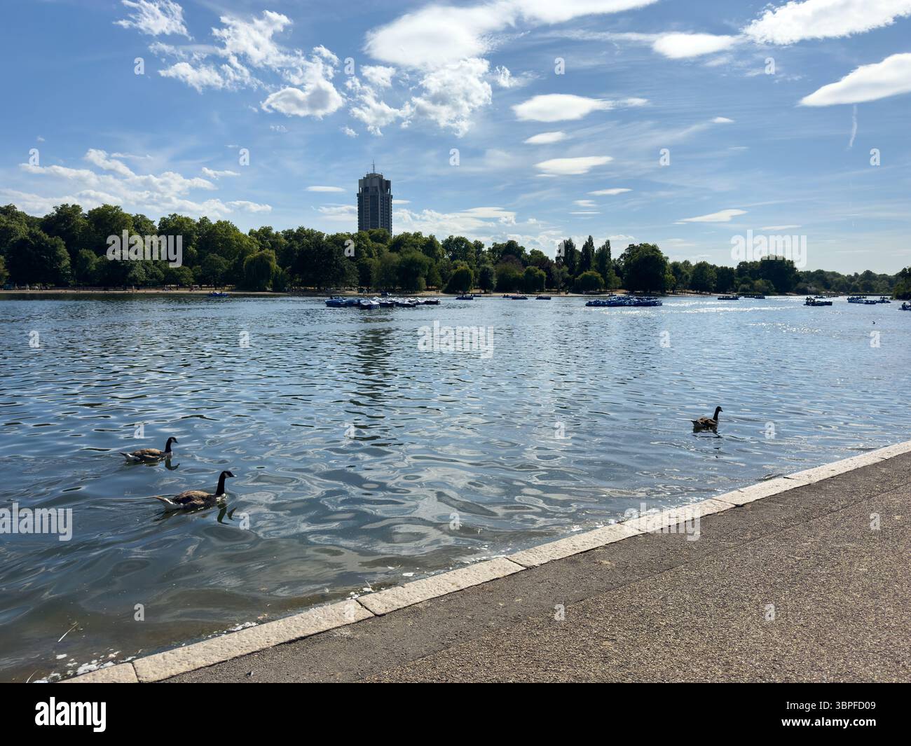 Hyde Park in the city of london uk in the summer Stock Photo