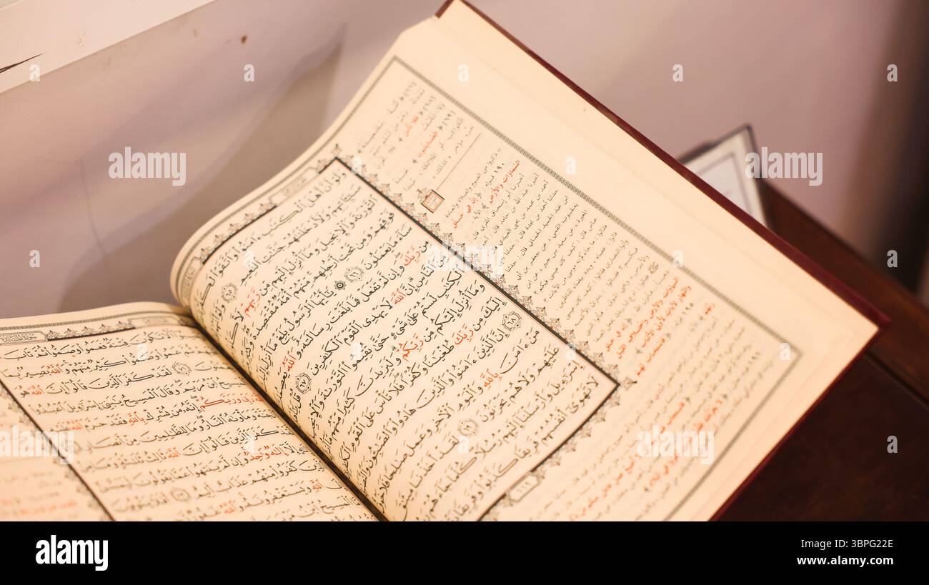 This manuscript features intricate calligraphy and ancient text ...
