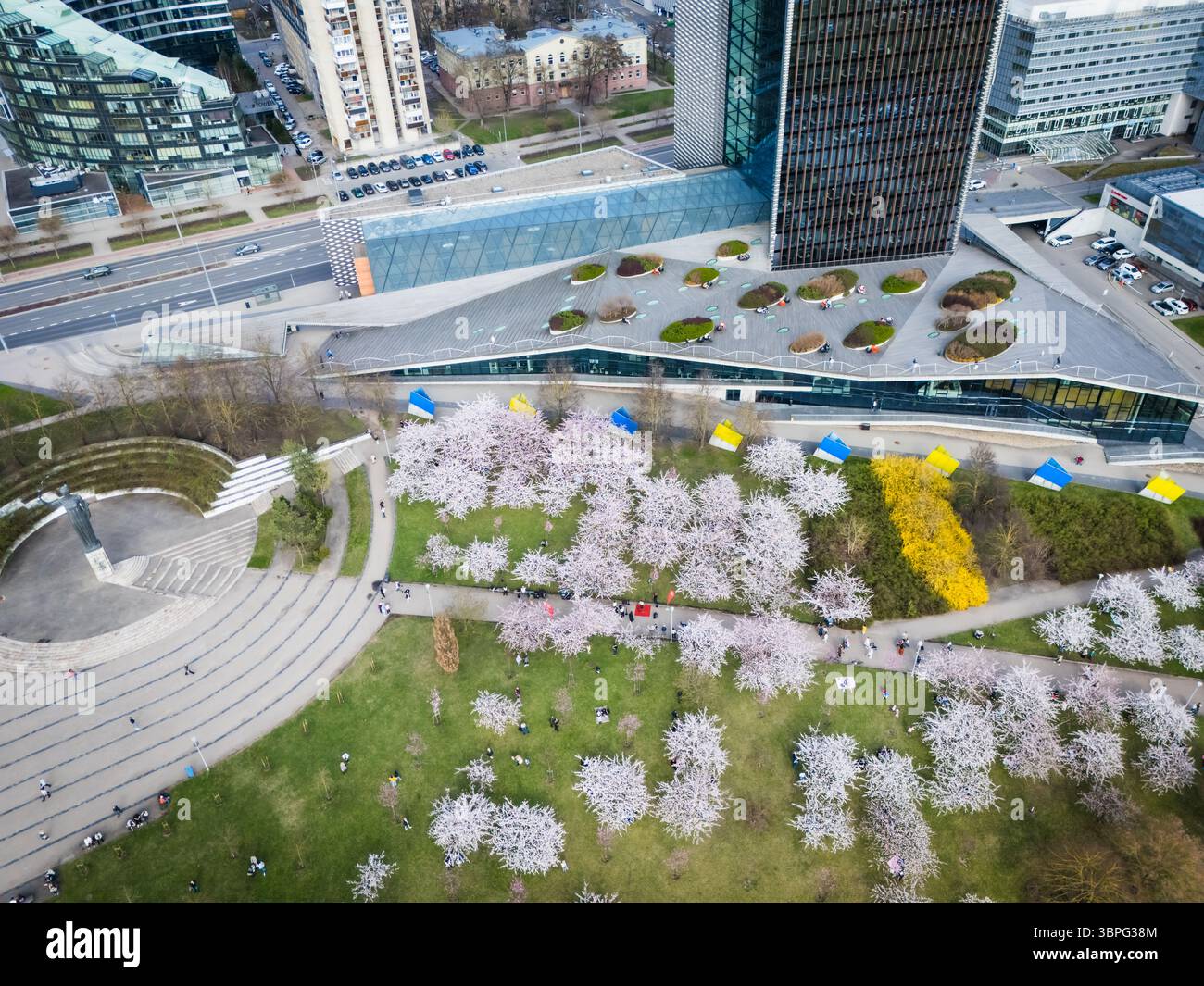 Aerial view of the vibrant tapestry of blooming cherry trees contrasting with modern architecture and green spaces, Vilnius, Vilnius County, Lithuania Stock Photo