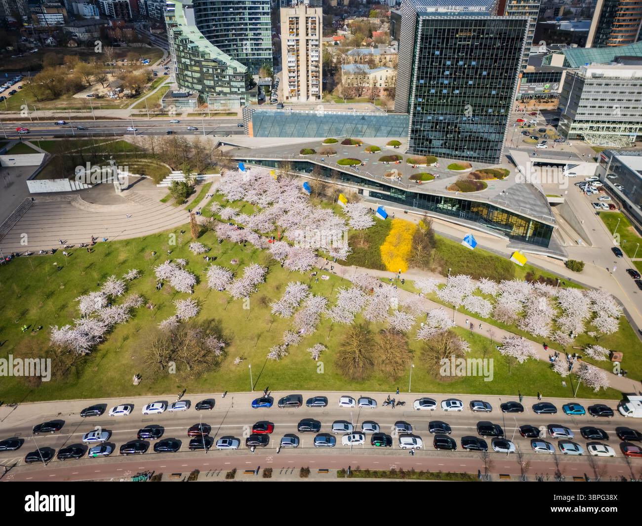Aerial view of blooming cherry trees in the park contrasting with the modern architecture of the MO Museum, Vilnius, Vilnius County, Lithuania. Stock Photo