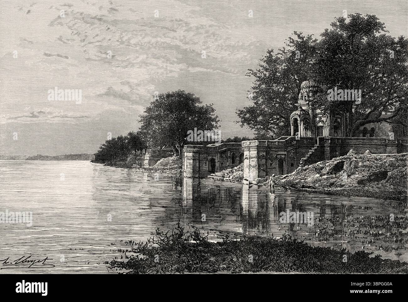 Mulatto fohisha rasmlar