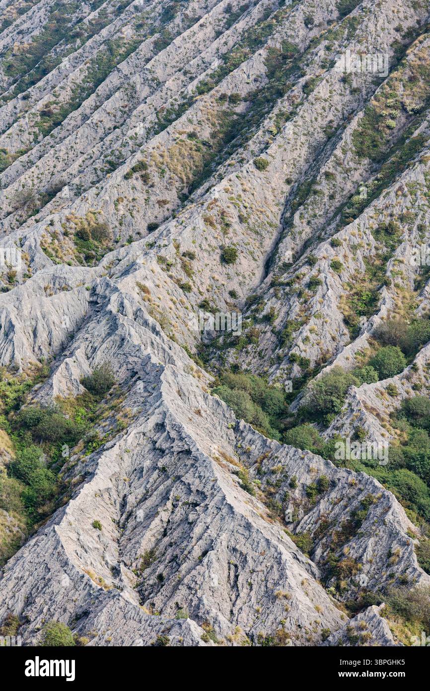 Environment features soft hi-res stock photography and images - Alamy