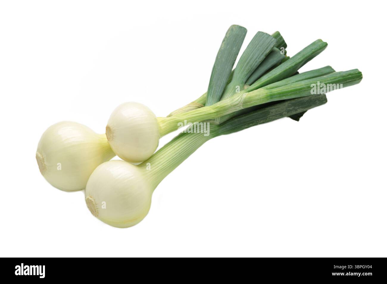 Green onion isolated on white background. Top view Stock Photo