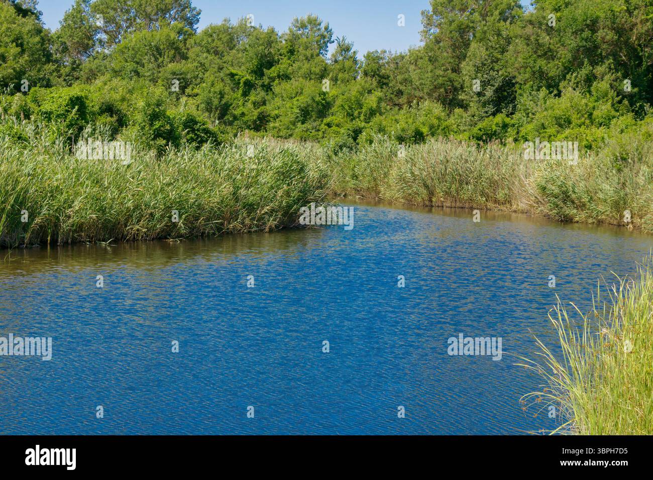A serene river meanders through vibrant vegetation under clear blue ...