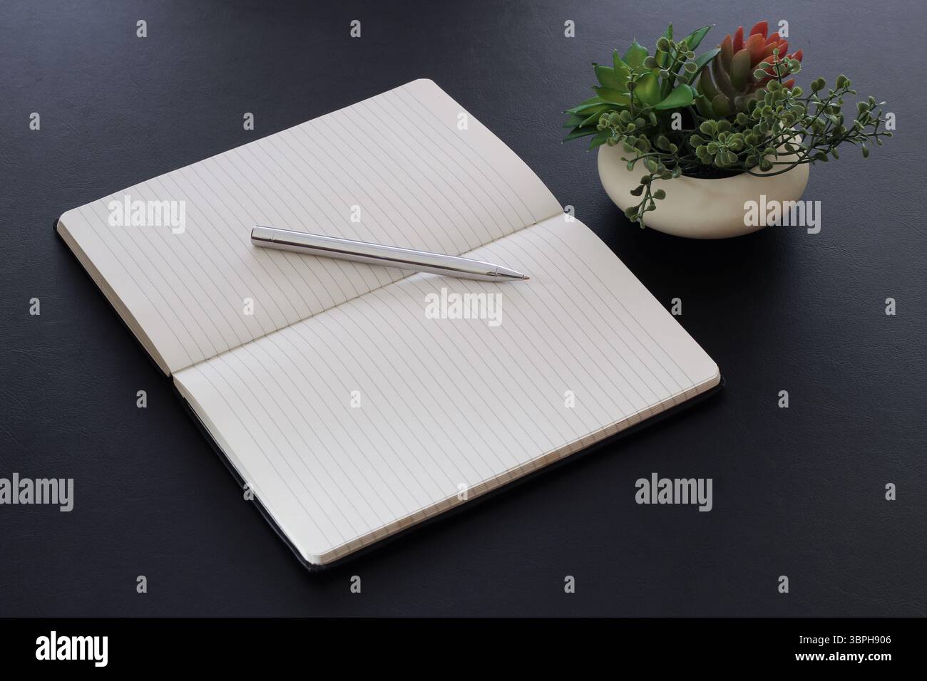 Blank open notebook on desk with pen ready for writing. Stock Photo