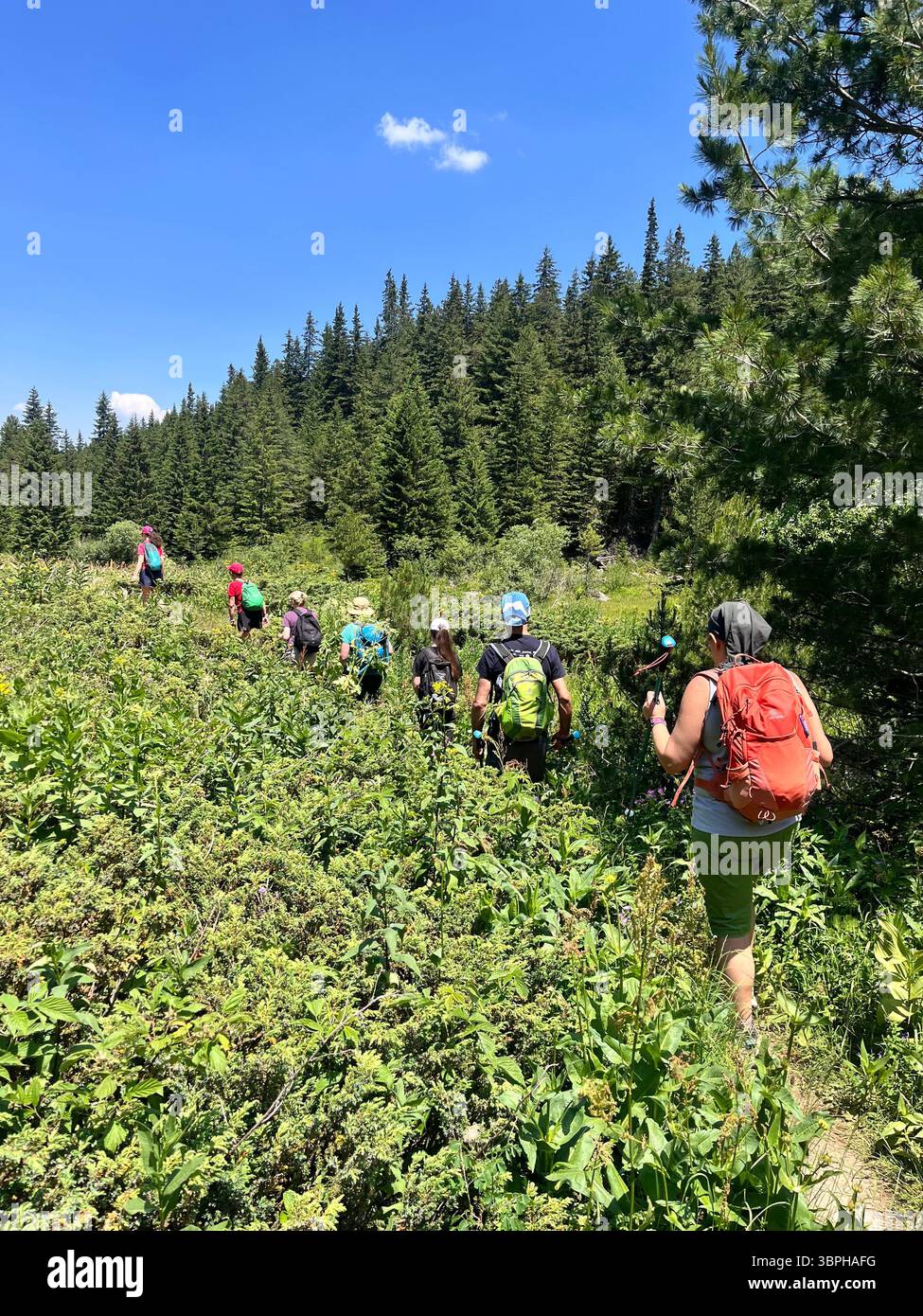 Hiking in Bulgaria, hikers on hiking trail in Rila Mountain Nature Reserve and National Park, Bulgaria, Balkans, Southeastern Europe - Smartphone Captured Stock Image